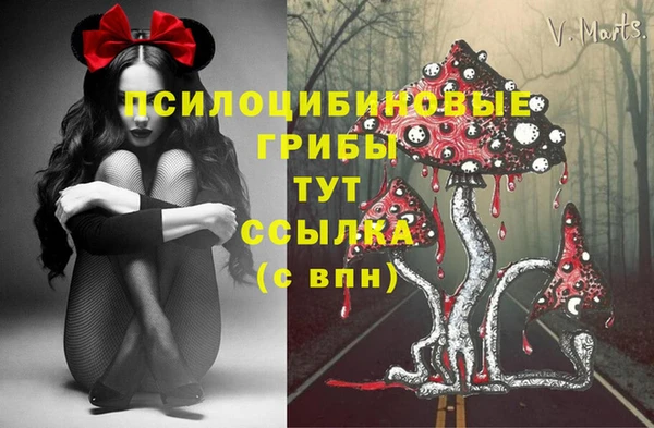 дмт Алексеевка