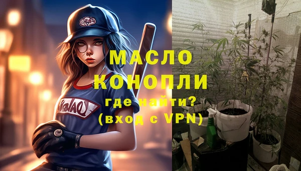 дживик Абинск